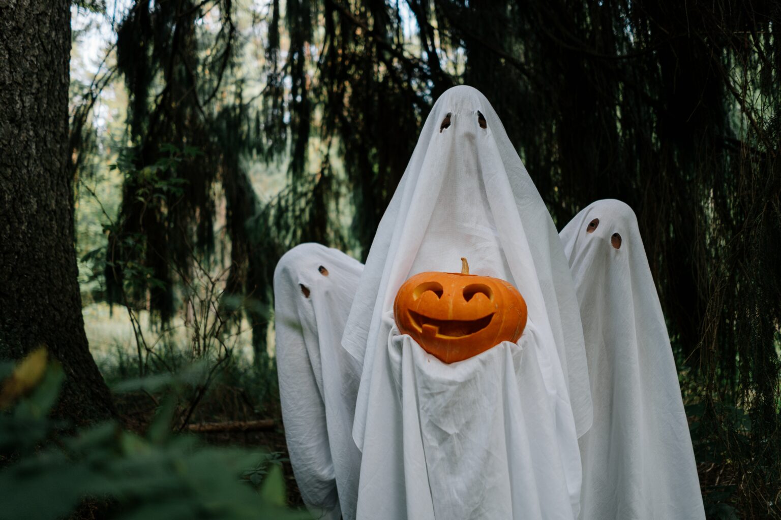 Safely Celebrate Halloween in South Africa with these Safety Tips Secura
